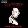 Small is Beautiful � Short Pieces for Solo Flute
