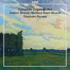 D Strunck / N A Strunck - Complete Organ Works