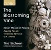 The Blossoming Vine: Italian Maestri in Poland