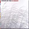 Moscow Art Trio in Concert (DVD)