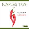 Naples 1759: Recorder Sonatas