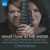 What I Saw in the Water: 21st-Century Works for Guitar Duo