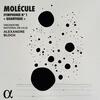 Molecule - Symphony no.1 �Quantique�