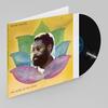 Bennie Maupin: The Jewel in the Lotus (Vinyl LP)