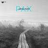 Part - PAX (Vinyl LP)