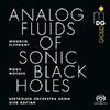 Moor Mother: Analog Fluids of Sonic Black Holes (Vinyl LP)