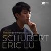 Schubert - The Impromptus, opp. 90 & 142