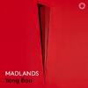Yang Bao: Madlands