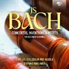JS Bach - Concertos, Inventions & Motets for Recorder Ensemble