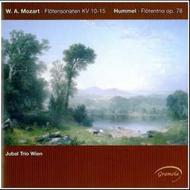 Mozart / Hummel - Chamber Music with Flute | Gramola 98810