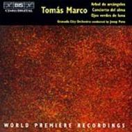 Marco � Archangel Tree