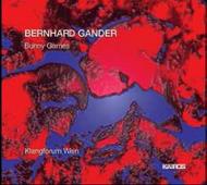 Bernhard Gander - Bunny Games, Fluc n Flex, etc