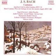 Bach - Cantatas