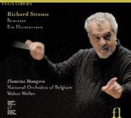 R Strauss - Burleske, Ein Heldenleben