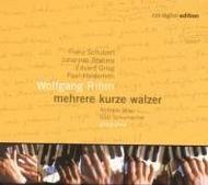 Grau & Schumacher: Mehrere Kurze Walzer (A Few Short Waltzes)