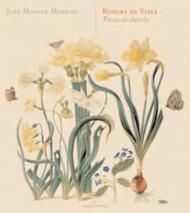 Visee - Pieces de Theorbe