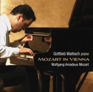 Mozart In Vienna               