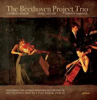 The Beethoven Project Trio