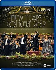 Gran Teatro La Fenice: New Year�s Concert, 2012 (Blu-ray)