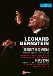 Leonard Bernstein conducts Beethoven & Haydn (DVD)