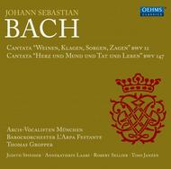J S Bach - Cantatas