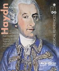 Haydn Portrait