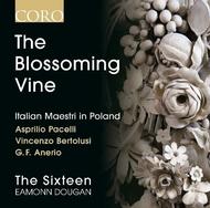 The Blossoming Vine: Italian Maestri in Poland