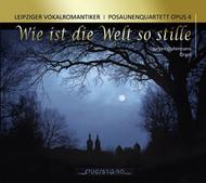 Wie ist die Welt so stille