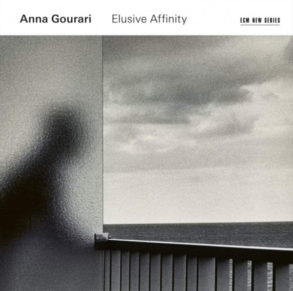 Anna Gourari: Elusive Affinity