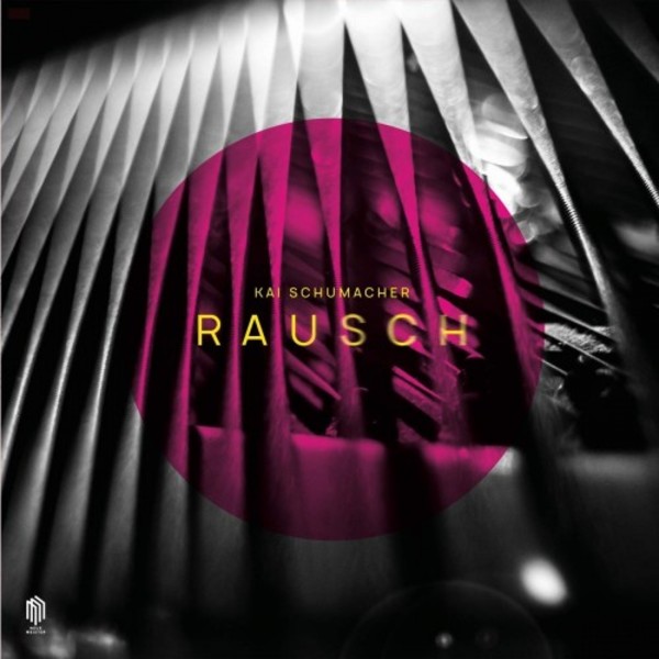 Schumacher - Rausch (Vinyl LP)