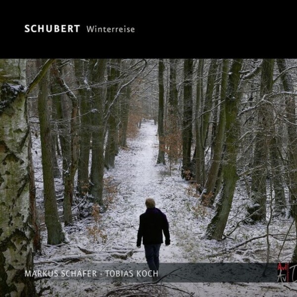 Schubert - Winterreise