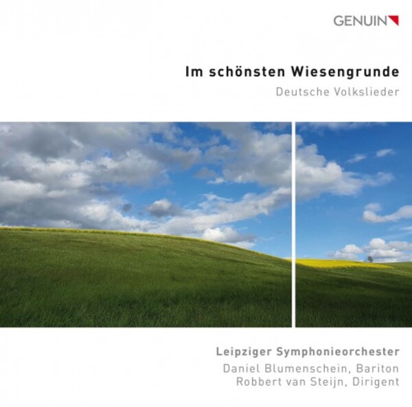 Im schonsten Wiesengrunde: German Folk Songs