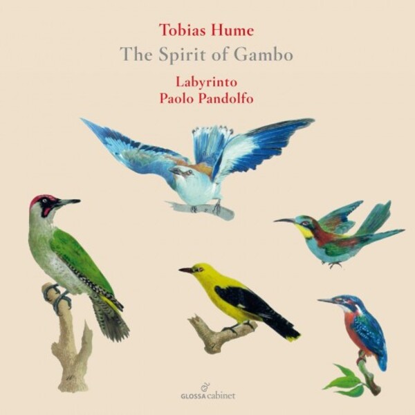 Hume - The Spirit of Gambo