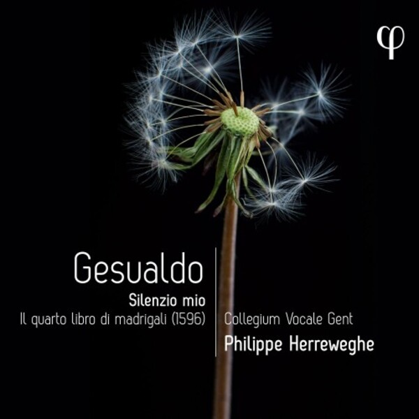 Gesualdo - Silenzio mio: Fourth Book of Madrigals