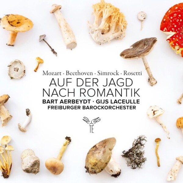 Auf der Jagd nach Romantik: Mozart, Beethoven, Simrock, Rosetti