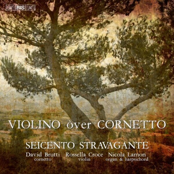 Violino over cornetto