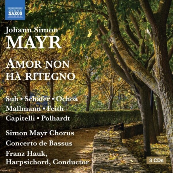 Mayr - Amor non ha ritegno