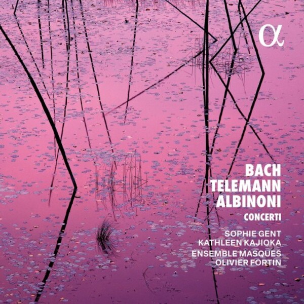 JS Bach, Telemann, Albinoni - Concerti
