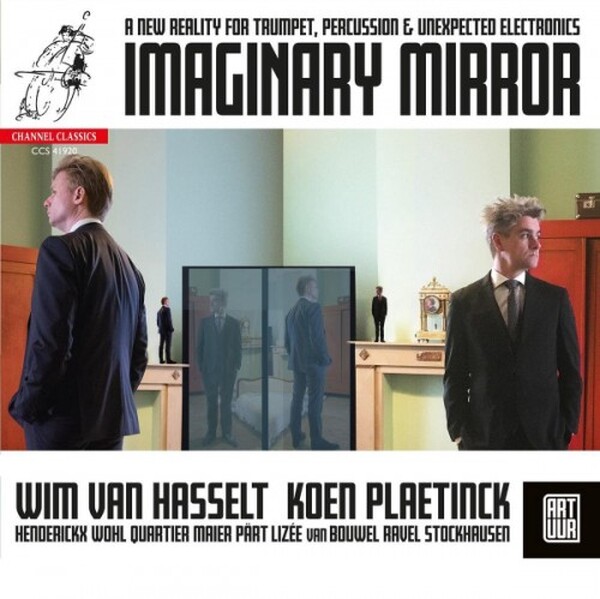 Art uur, Wim Van Hasselt, Koen Plaetinck - Imaginary Mirror (USED)