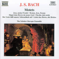 Bach - Motets