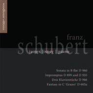 Schubert - Piano Works